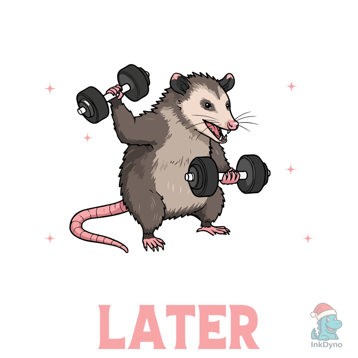 Funny Gym Opossum Fitness T-Shirt