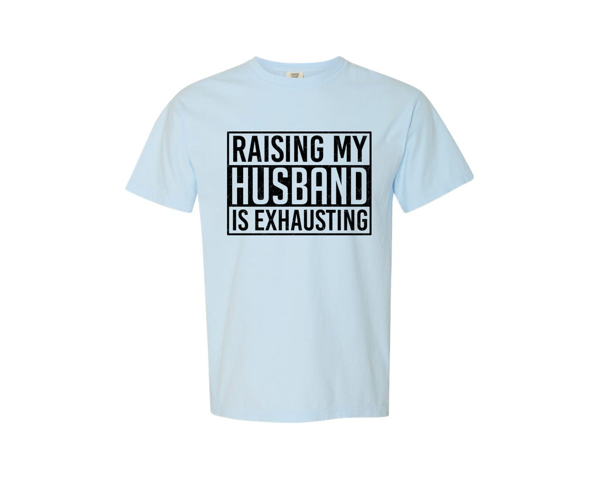 brand:Comfort Colors|color:Chambray|Funny Sarcastic Sassy Adult 2 Graphic T-Shirt