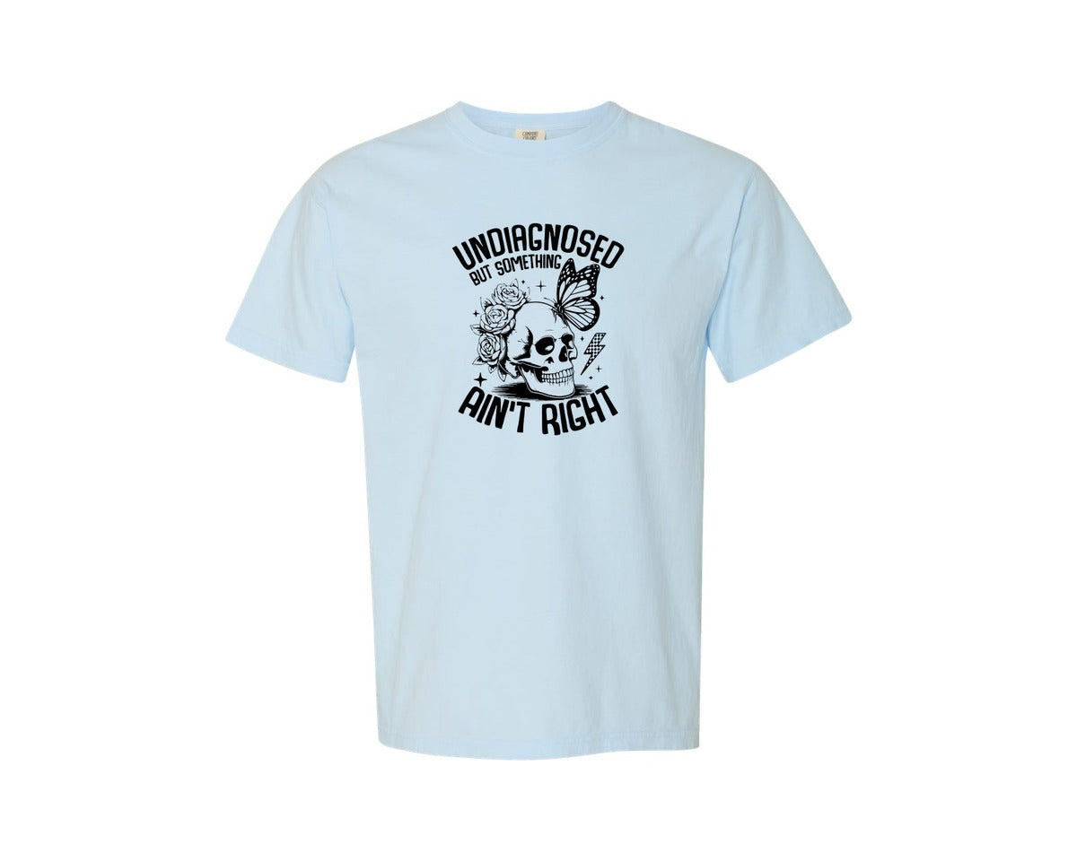 brand:Comfort Colors|color:Chambray|Ross Flower Butterfly Skull Humor Quotes Graphic T-Shirt