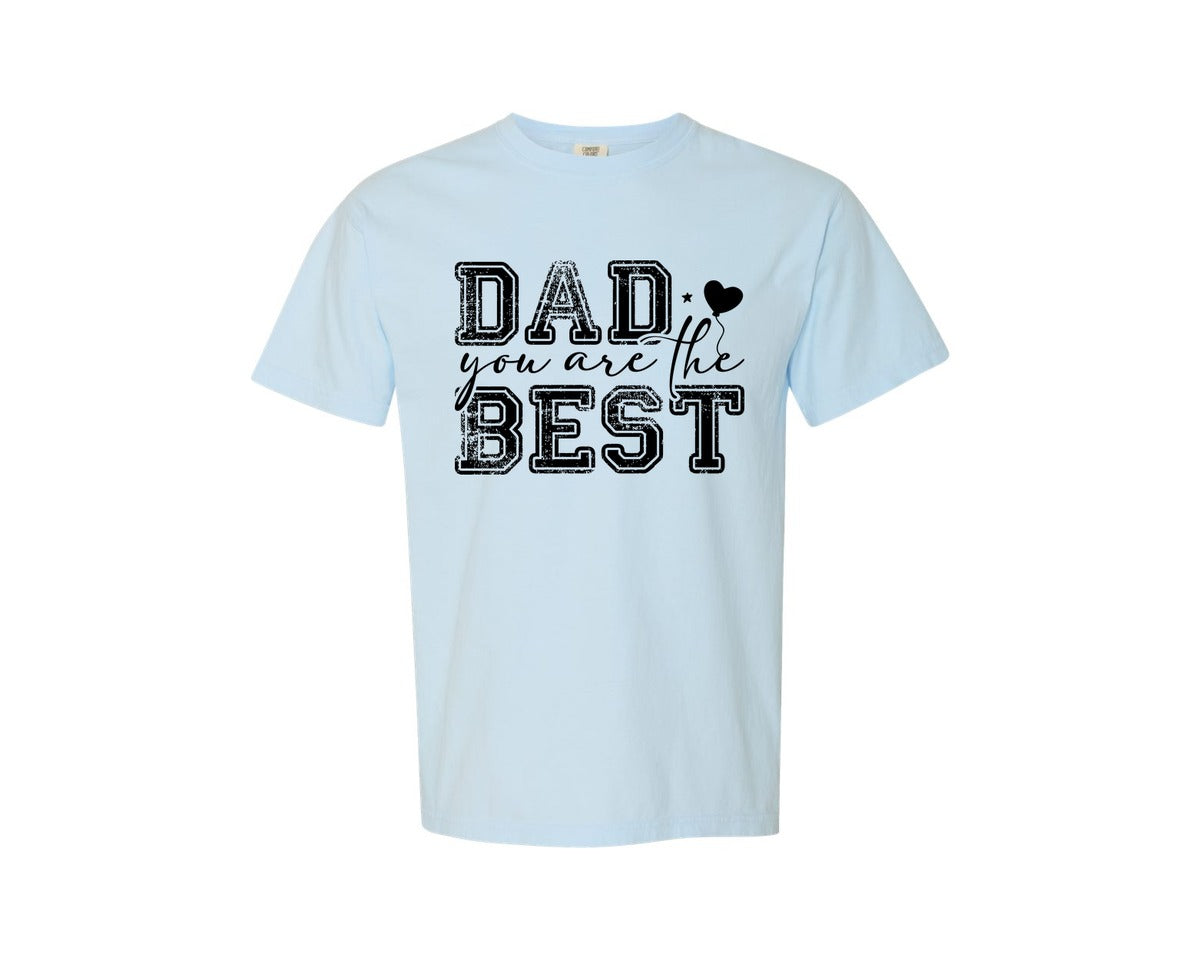 brand:Comfort Colors|color:Chambray|12 Dad Graphic T-Shirt