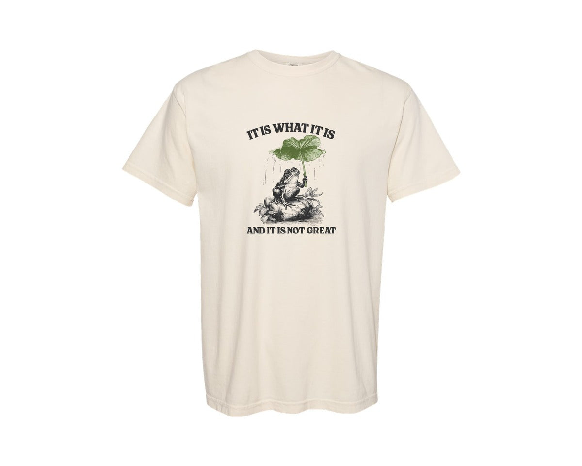 brand:Comfort Colors|color:Ivory|It Is What It Is Not Great Vintage Frog Graphic T-Shirt