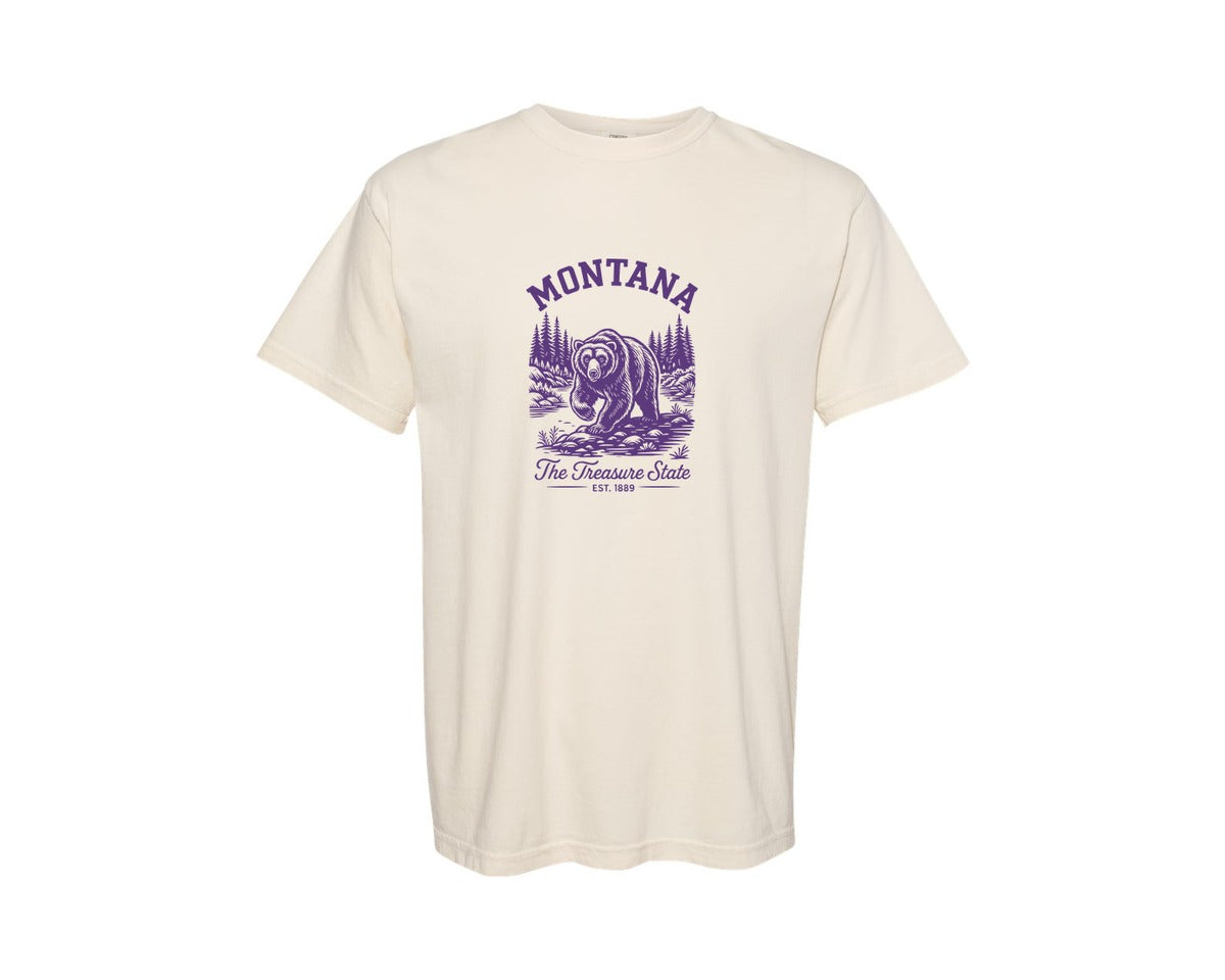 brand:Comfort Colors|color:Ivory|Montana The Treasure State Graphic T-Shirt