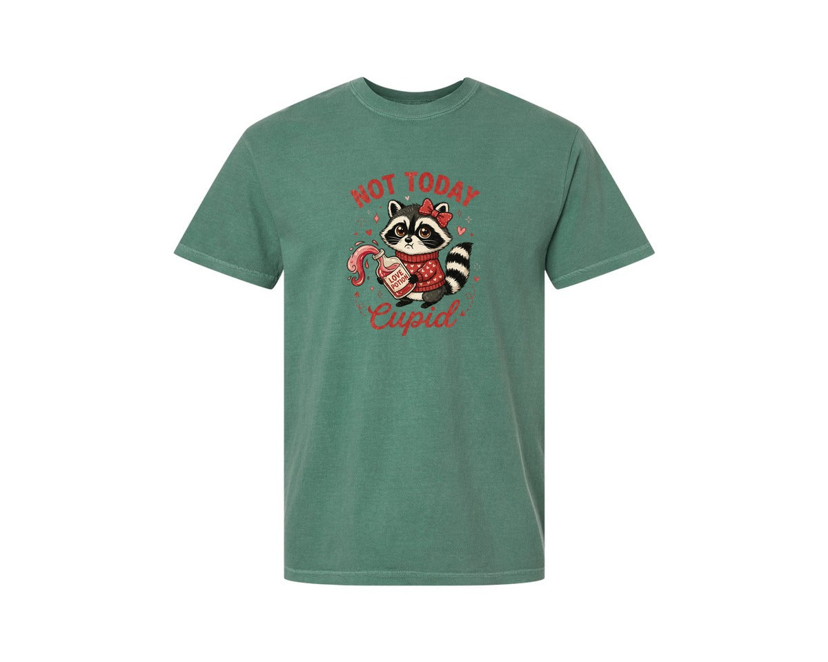 brand:Comfort Colors|color:Light Green|Not Today Cupid Valentines Raccoon 2 Graphic T-Shirt