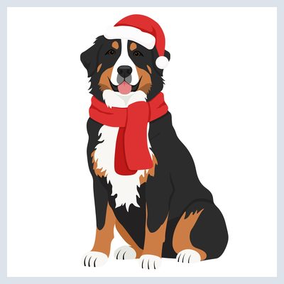 Christmas Bernese Mountain Dog - DTF Transfer