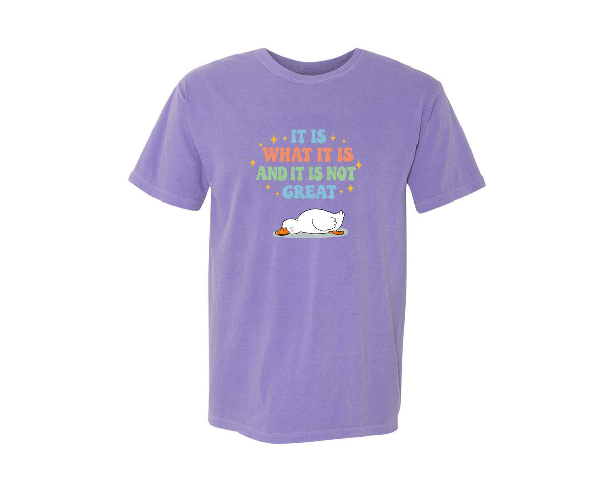 brand:Comfort Colors|color:Violet|Funny Duck It Is What It Is Graphic T-Shirt