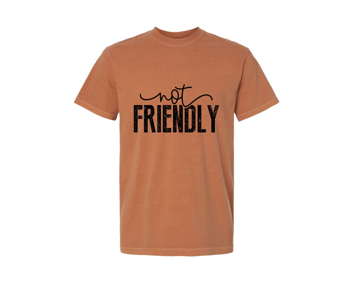 brand:Comfort Colors|color:Yam|Not Friendly Funny Quote Graphic T-Shirt