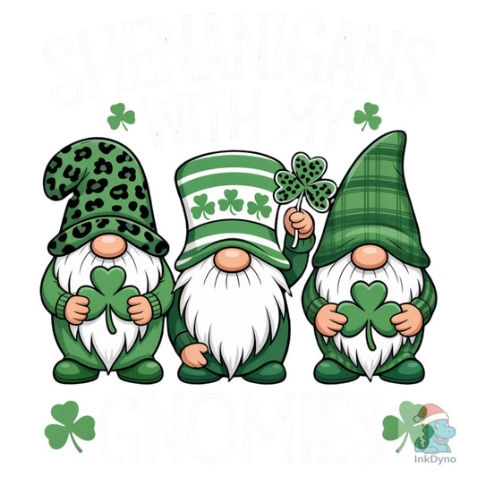 Cute St. Patrick's Day Gnome - DTF Transfer
