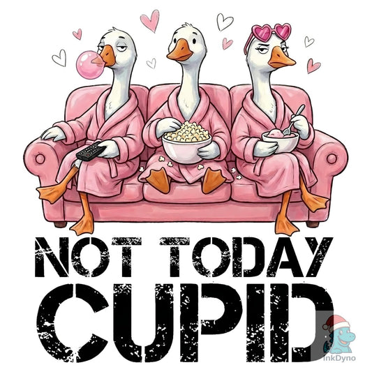 Not Today Cupid Goose Valentine - DTF Transfer