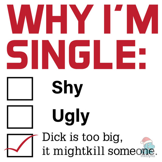 Funny Why I'm Single Checklist Love - DTF Transfer