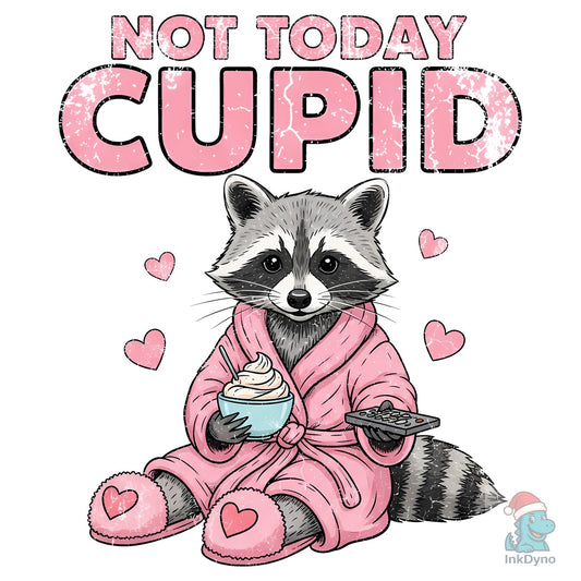 Not Today Cupid Raccoon Valentine - DTF Transfer