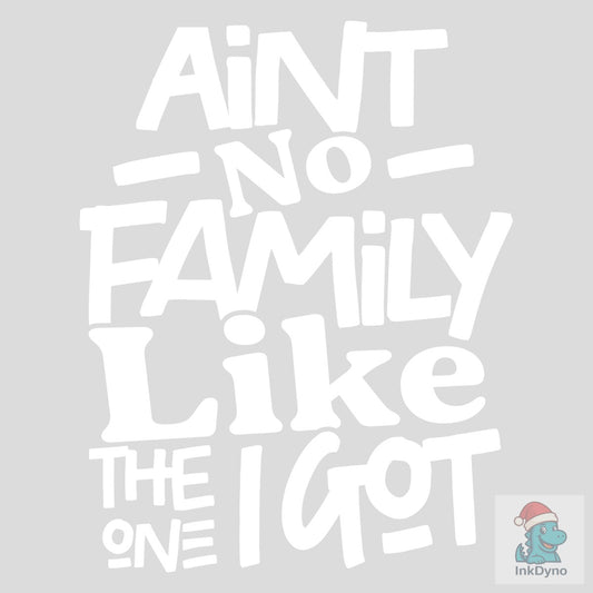 Ain't No Family Like the One I Got Tee - DTF Transfer