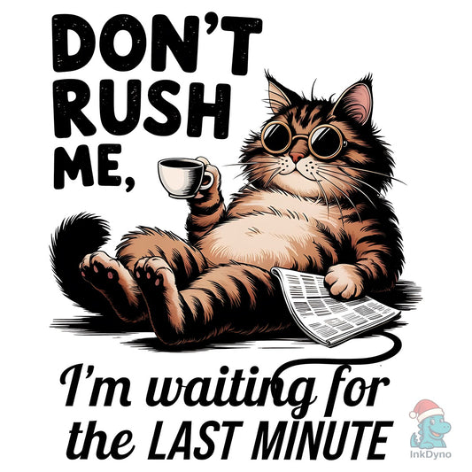 Funny Cat Don't Rush Me Sarcastic Sassy - DTF Transfer