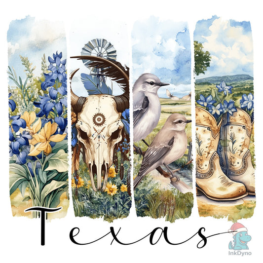 Brushstroke Texas State - DTF Transfer