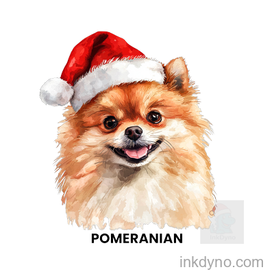 21 POMERANIAN