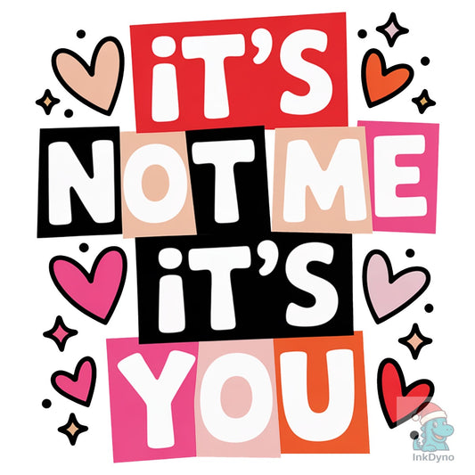 Funny It's Not Me It's You Valentine - DTF Transfer