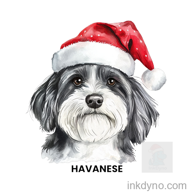 22 HAVANESE