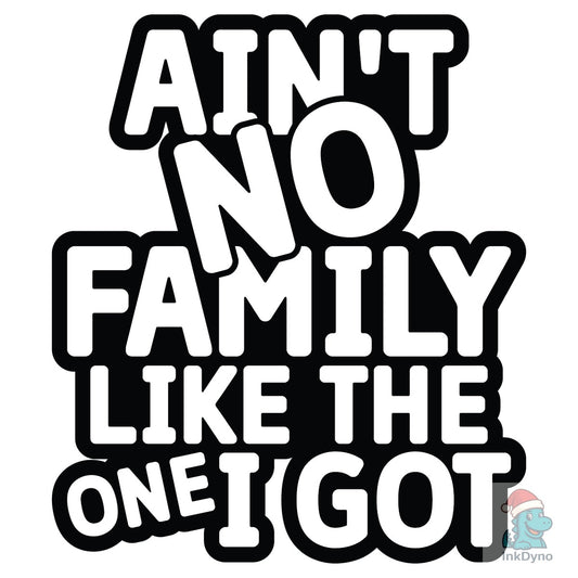 Ain't No Family Like the One I Got - DTF Transfer