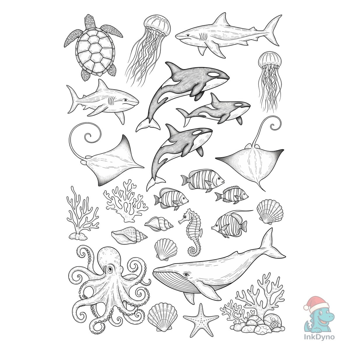 Ocean Animals