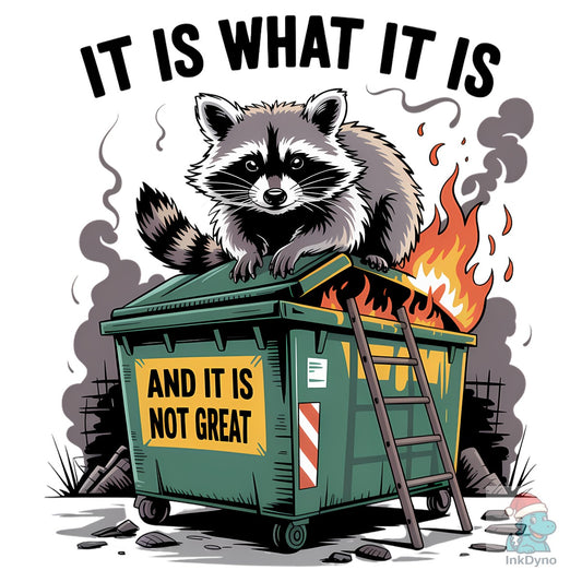 Dumpster Fire Raccoon Meme - DTF Transfer