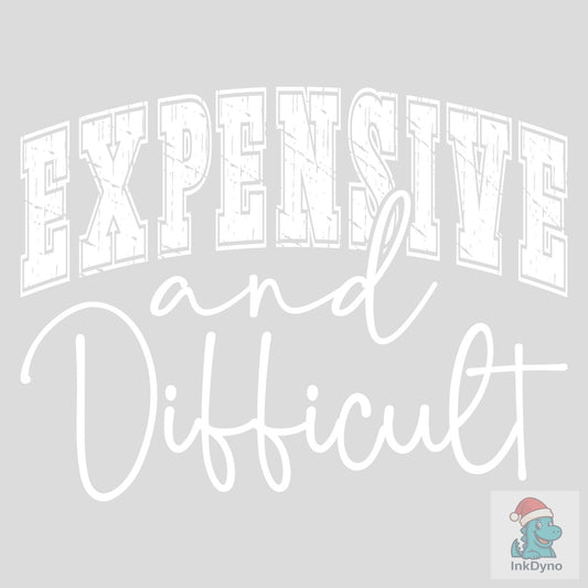 EXPENSIVE and DIFFICULT FUNNY - DTF Transfer