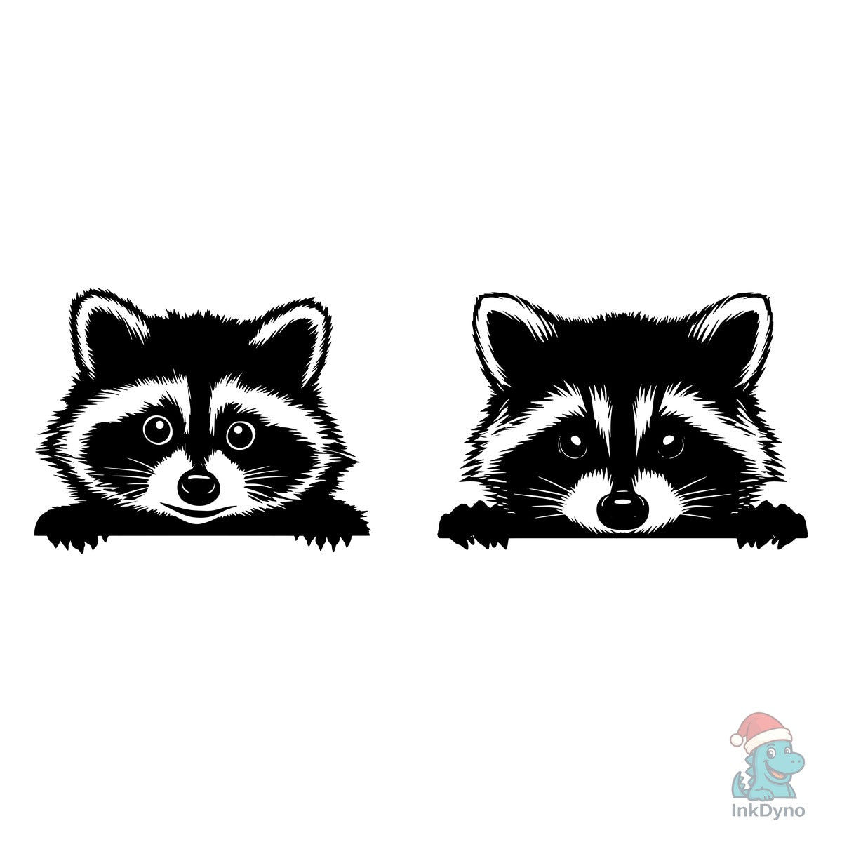 Raccoon Peeking
