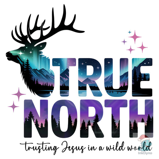 True North Vbs Vacation Bible School - DTF Transfer