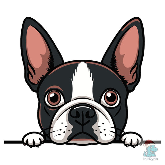 Peeking Boston Terrier Dog Vector - DTF Transfer