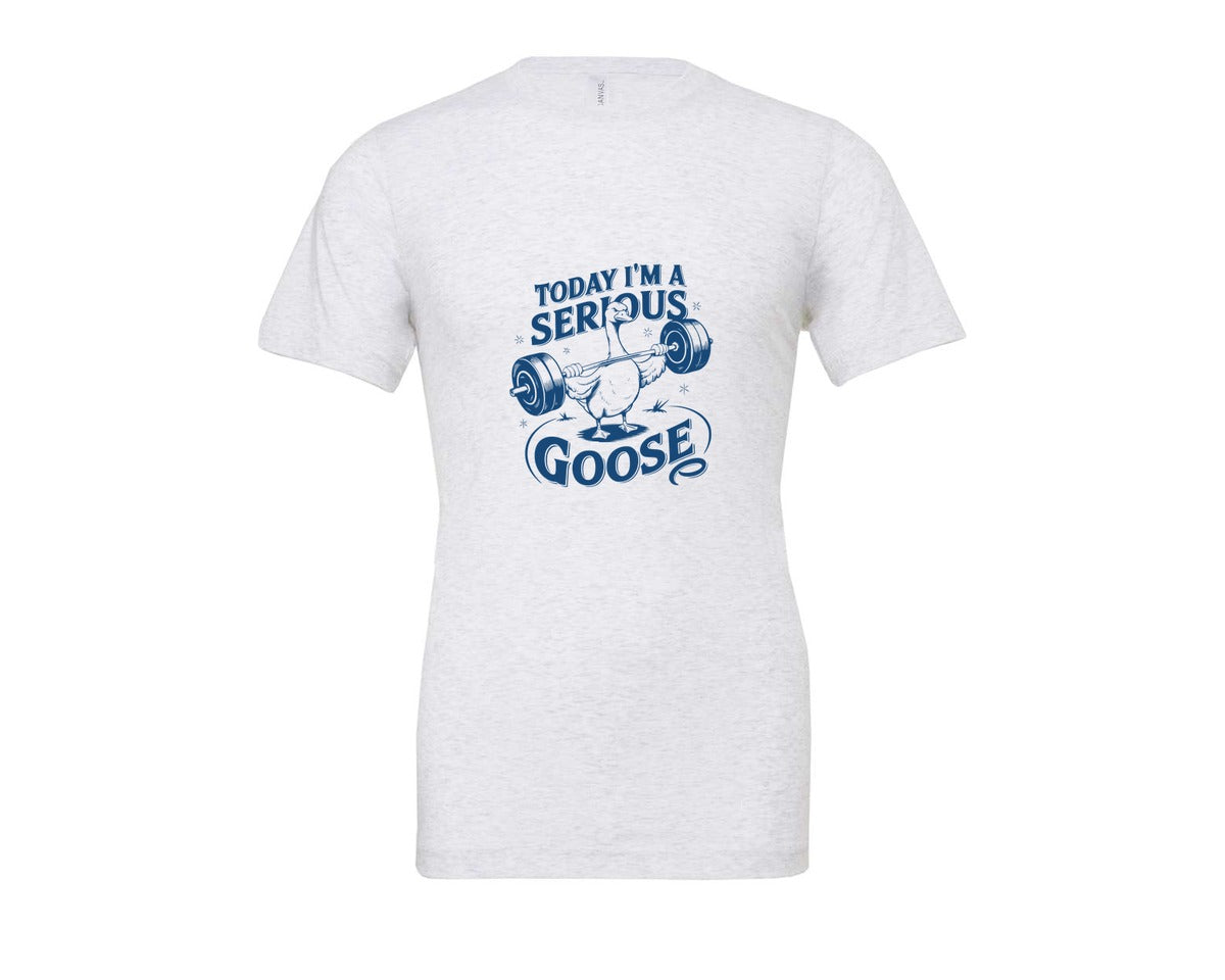brand:Bella Canvas|color:Ash Grey|Today Im A Serious Goose Bird T Shirt 2 Graphic T-Shirt