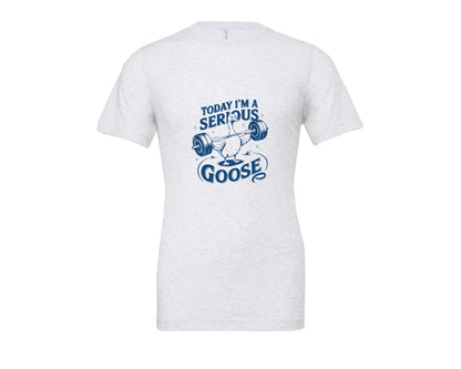 brand:Bella Canvas|color:Ash Grey|Today Im A Serious Goose Bird T Shirt 2 Graphic T-Shirt