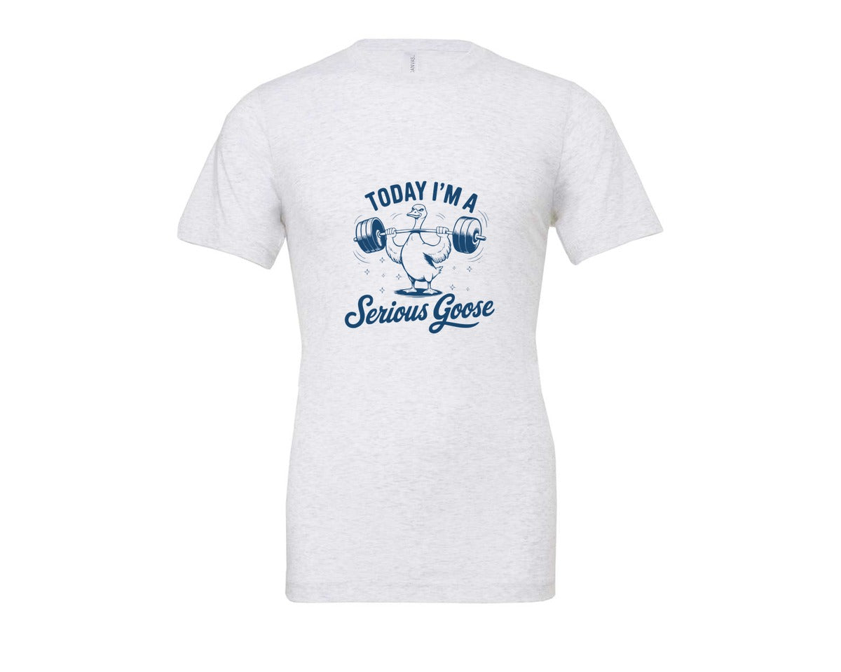 brand:Bella Canvas|color:Ash Grey|Today Im A Serious Goose Bird T Shirt S Graphic T-Shirt