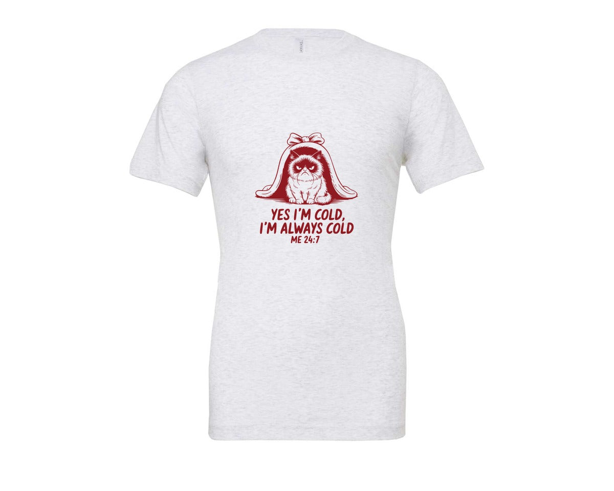 brand:Bella Canvas|color:Ash Grey|Yes Im Cold Always Cold Me 247 Des Graphic T-Shirt