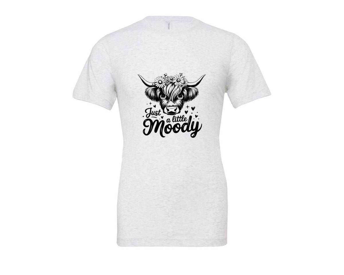 brand:Bella Canvas|color:Ash Grey|Just A Little Moody T Shirt Design Graphic T-Shirt