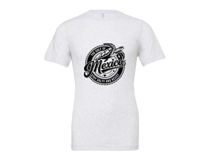 brand:Bella Canvas|color:Ash Grey|Gulf Of Mexico Turtle Beach Graphic T-Shirt