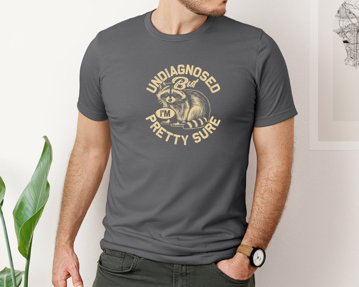 brand:Bella Canvas|color:Asphalt|Funny Raccoon Meme T Shirt 2 Graphic T-Shirt