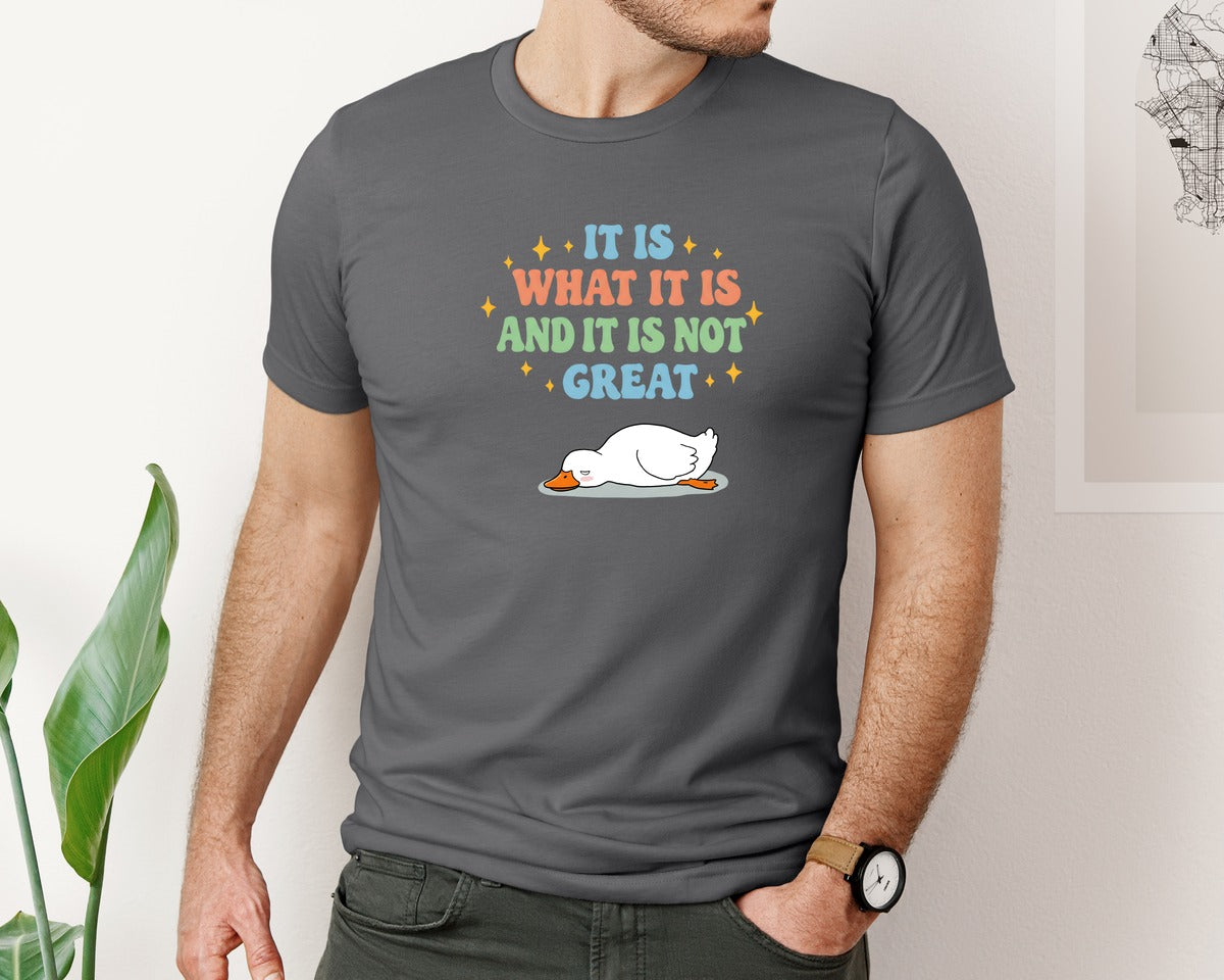 brand:Bella Canvas|color:Asphalt|Funny Duck It Is What It Is Graphic T-Shirt