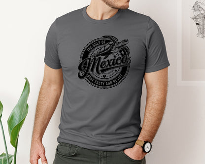 brand:Bella Canvas|color:Asphalt|Gulf Of Mexico Turtle Beach Graphic T-Shirt