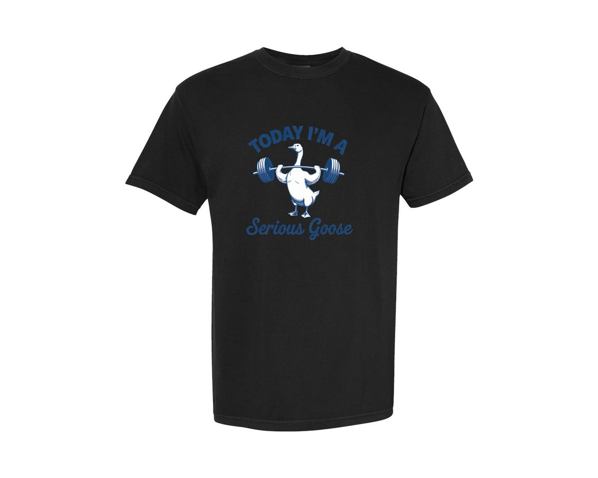 brand:Comfort Colors|color:Black|Funny Today Im A Serious Goose 2 Graphic T-Shirt
