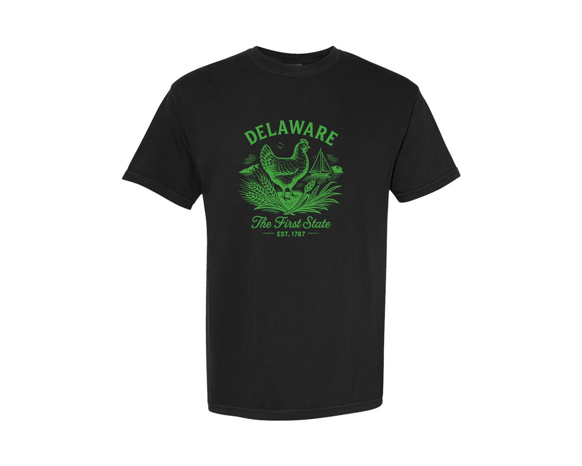 brand:Comfort Colors|color:Black|Delaware The First State Graphic T-Shirt