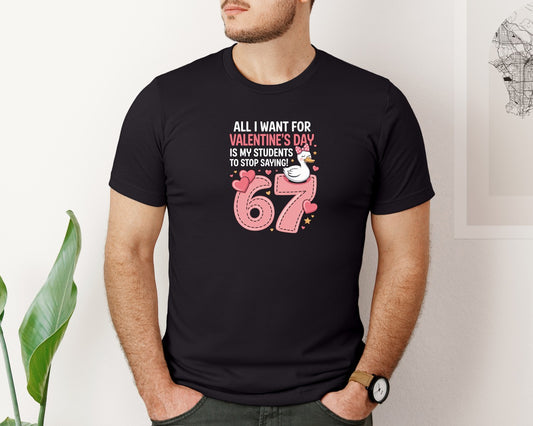 All I Want For Valentines Day Goose Coq Graphic T-Shirt