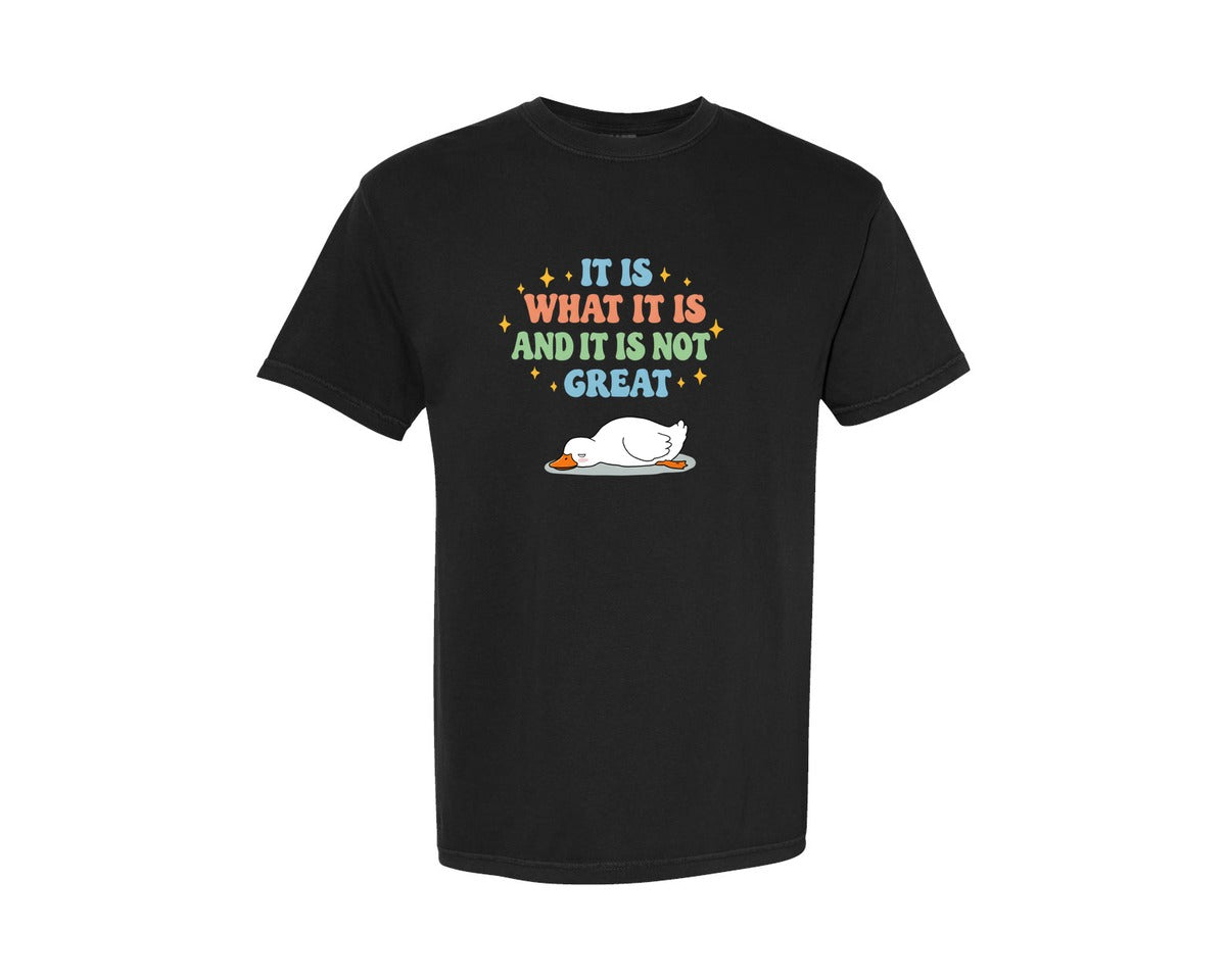 brand:Comfort Colors|color:Black|Funny Duck It Is What It Is Graphic T-Shirt