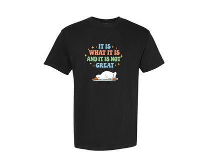 brand:Comfort Colors|color:Black|Funny Duck It Is What It Is Graphic T-Shirt