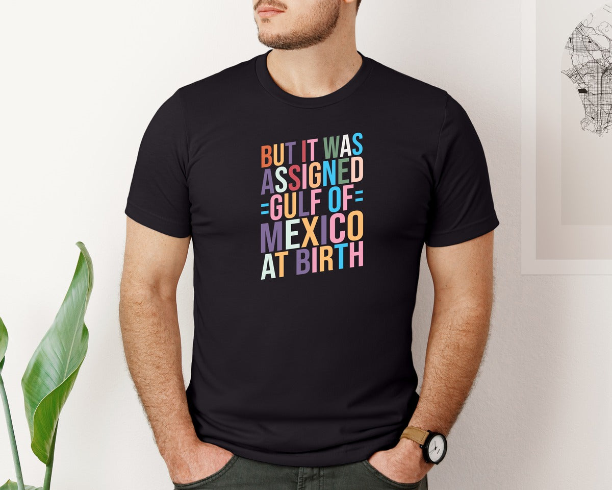 brand:Bella Canvas|color:Black|But It Was Assigned Gulf Of Mexico At Bi Graphic T-Shirt