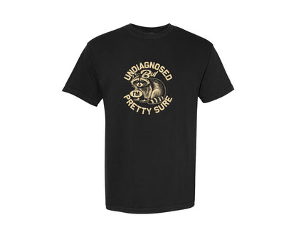brand:Comfort Colors|color:Black|Funny Raccoon Meme T Shirt 2 Graphic T-Shirt