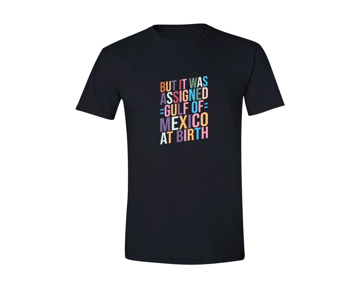 brand:Generic|color:Black|But It Was Assigned Gulf Of Mexico At Bi Graphic T-Shirt