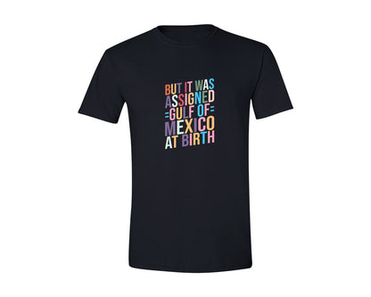 brand:Generic|color:Black|But It Was Assigned Gulf Of Mexico At Bi Graphic T-Shirt