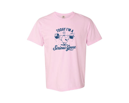 brand:Comfort Colors|color:Blossom|Today Im A Serious Goose Bird T Shirt S Graphic T-Shirt