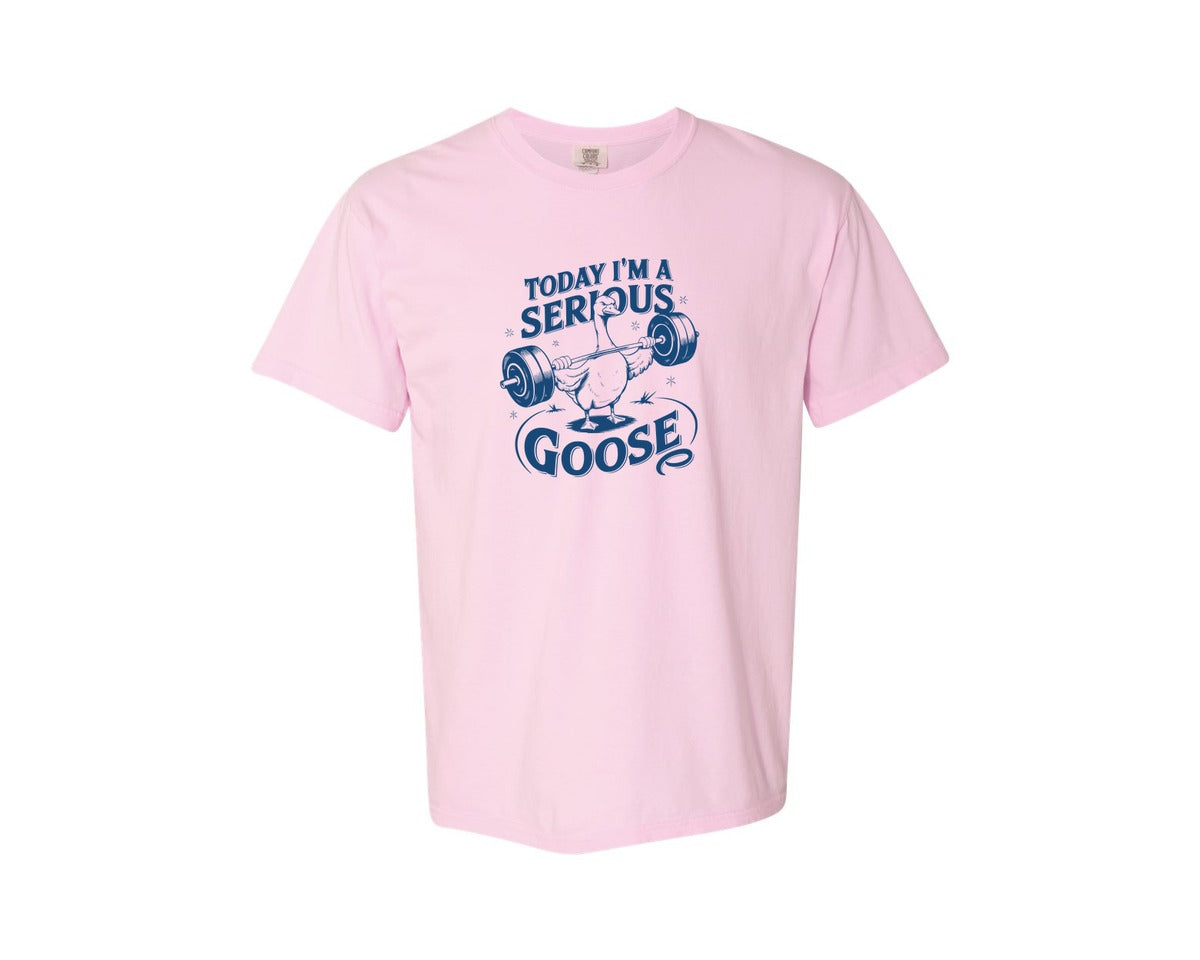 brand:Comfort Colors|color:Blossom|Today Im A Serious Goose Bird T Shirt 2 Graphic T-Shirt