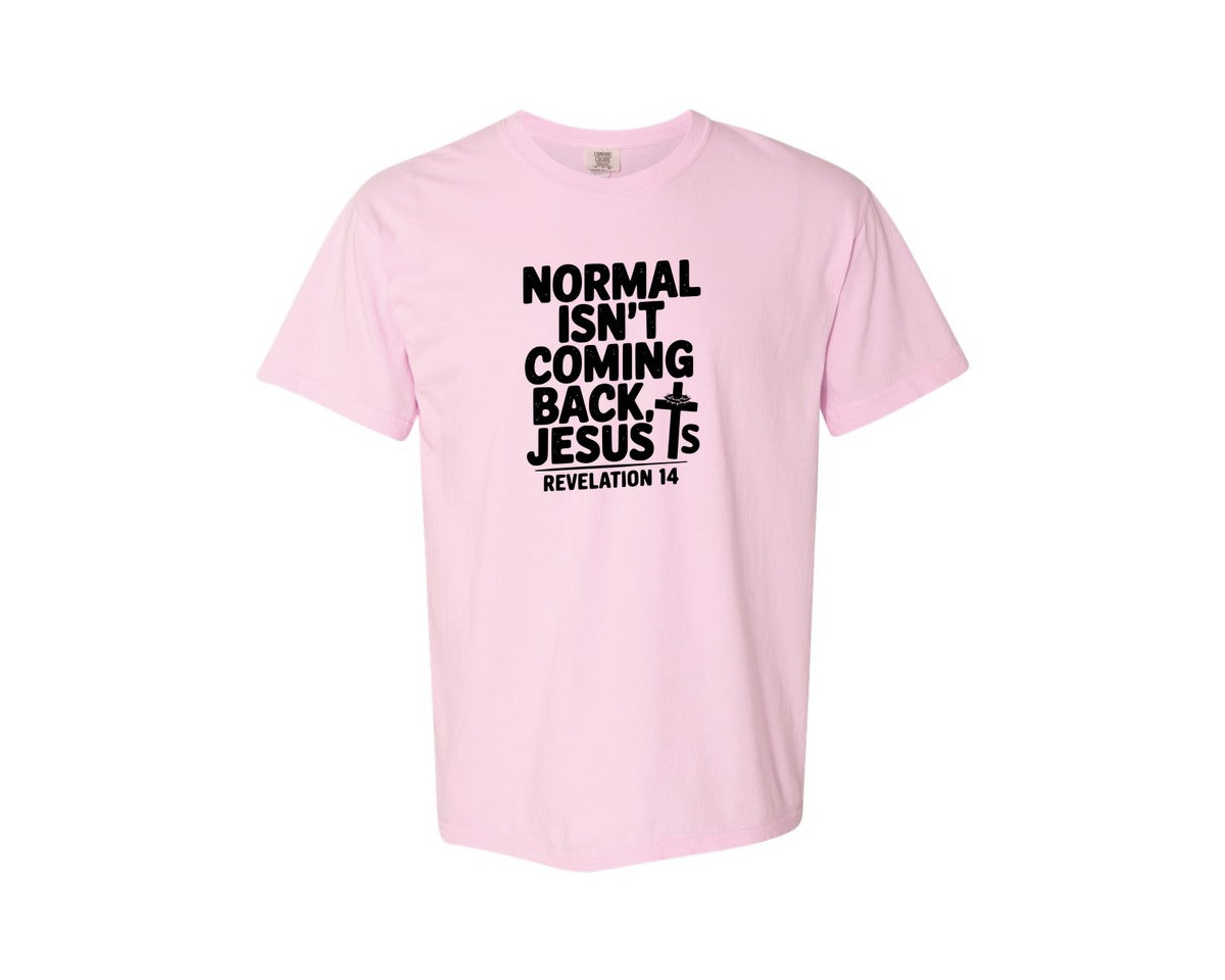 brand:Comfort Colors|color:Blossom|Normal Isnt Coming Back But Jesus Is Sv Graphic T-Shirt