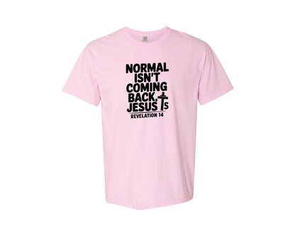 brand:Comfort Colors|color:Blossom|Normal Isnt Coming Back But Jesus Is Sv Graphic T-Shirt