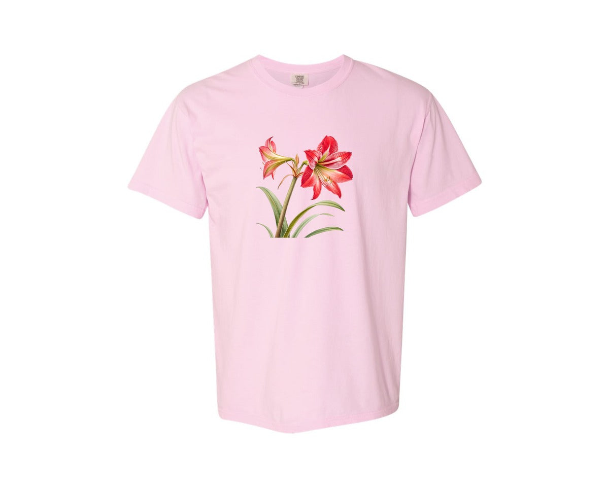 brand:Comfort Colors|color:Blossom|Red Amaryllis Flower T Shirt Design Graphic T-Shirt